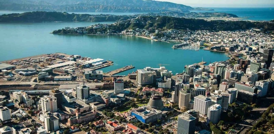 Stolen kiwi Escape Room